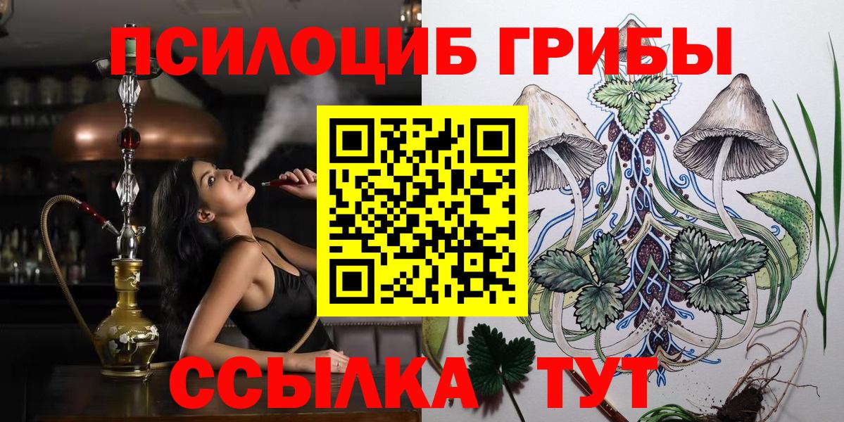 Усть-Илимск  Псилоцибиновые грибы прущие грибы  Вход с VPN 